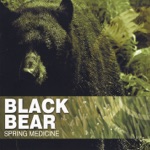 Black Bear - Spring Medicine