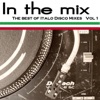 In the Mix - the Best of Italo Disco Vol 1 (DJ Mix)