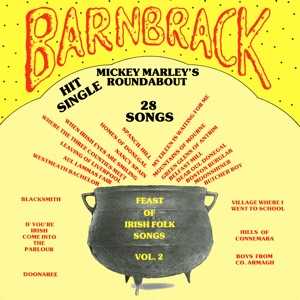 Feast of Irish Folk Songs, Vol. 2