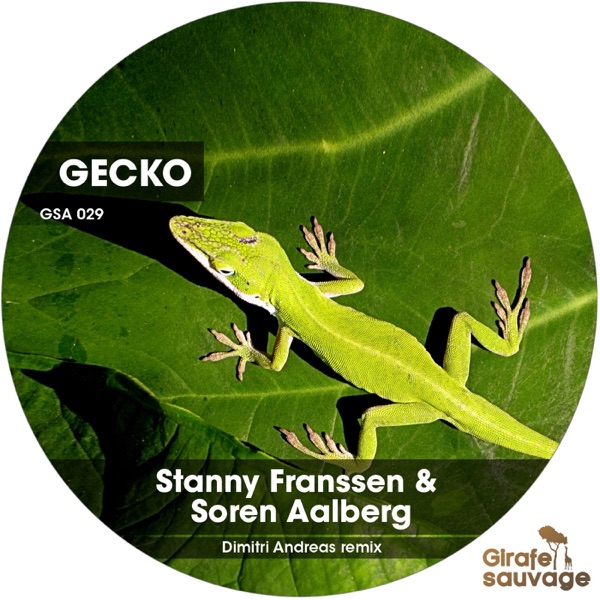 Gecko - Single