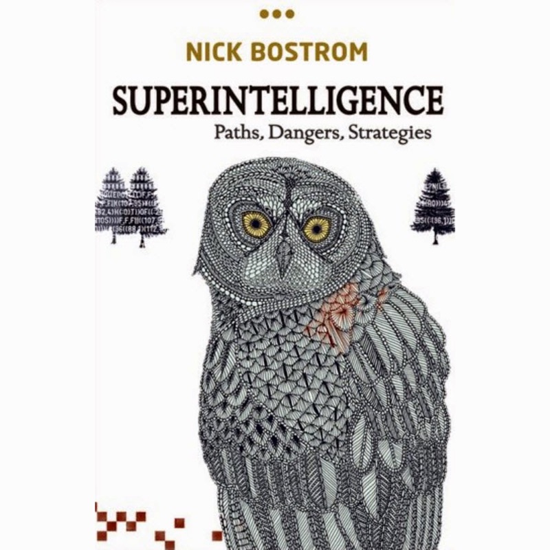 Superintelligence: Paths, Dangers, Strategies (Unabridged)