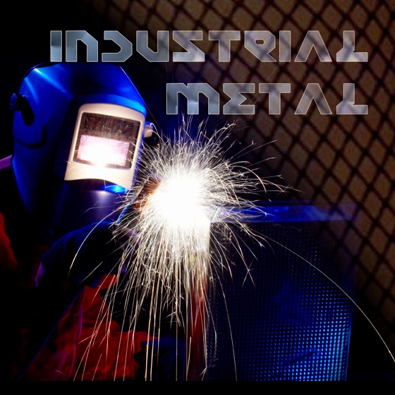 Cover artwork for Idiot