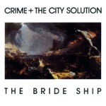 Crime and the City Solution - New World