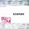 Scenes - Universal lyrics