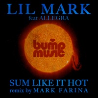 Sum Like It Hot (feat. Allegra Bandy) - Lil Mark
