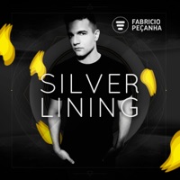Silver Lining - Fabricio Pecanha