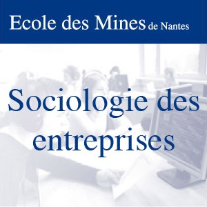 Sociologie des entreprises cover