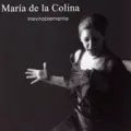 Que la Virgen viene