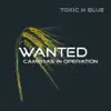 Wanted (Radio Edit)