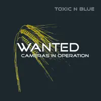 Wanted (Radio Edit) — Toxic N Blue