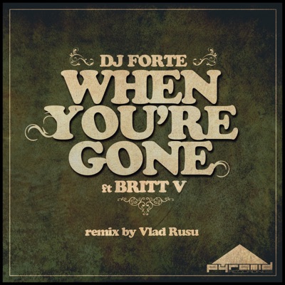 When You're Gone - Single