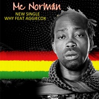 Why (feat. Aggiecox) - Single - Mc Norman