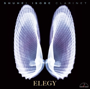 Elegy