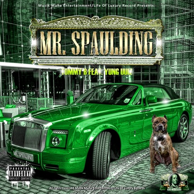 Mr. Spaulding (feat. Yung Uuiz) - Single
