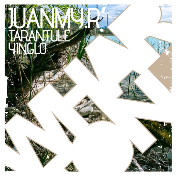 Tarantule - Single - Juanmy.R