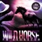 Wild Horse - PM Akordeon lyrics