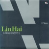 Lin Hai - 流動的城市