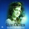 Gülden Karaböcek - Sevsen Ne Olurdu