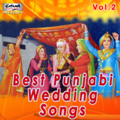 Best Punjabi Wedding Songs, Vol. 2 - Various Artists