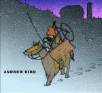 Andrew Bird - Sectionate City