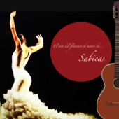 El Arte del Flamenco de Manos de... Sabicas artwork