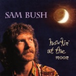 Sam Bush - Hold On