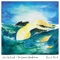 Jolie Holland - Tender mirror