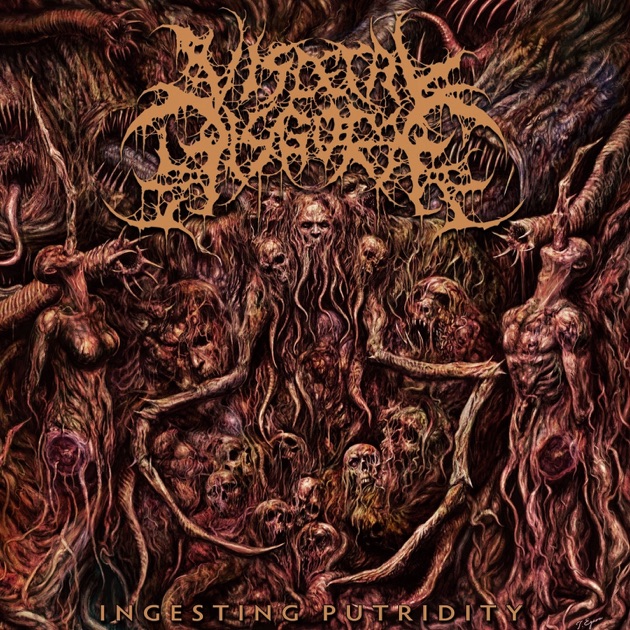 ブルデス Putrid Pile アルバムセット Putrid Pile - Collection of Butchery - Amazon.com Music