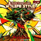 Lifestyle records compilation vol.5 artwork