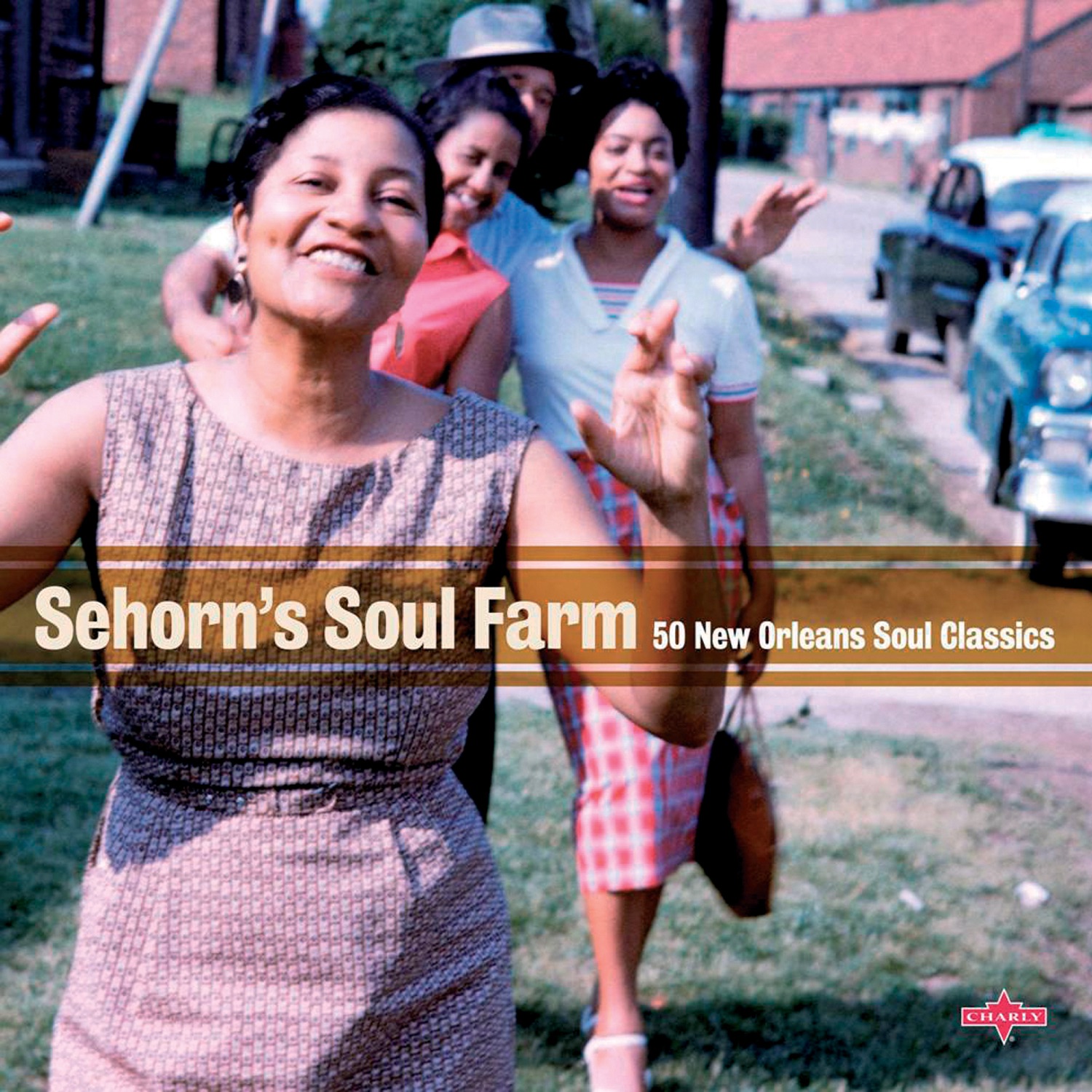 Sehorn's Soul Farm: 50 New Orleans Soul Classics