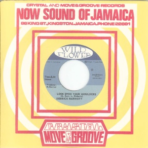 Look Over Your Shoulders / Dancing the Reggae - Single