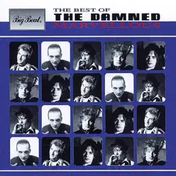 Marvellous: The Best Of - The Damned