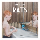 Rats artwork