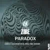 Zibe - Paradox (Boral Kibil Remix)