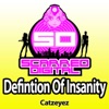 Definition of Insanity - Single