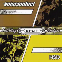 Building Bridges - Misconduct