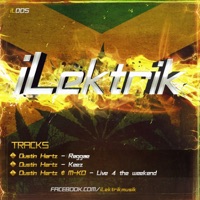 Reggae - Single - Dustin Hertz