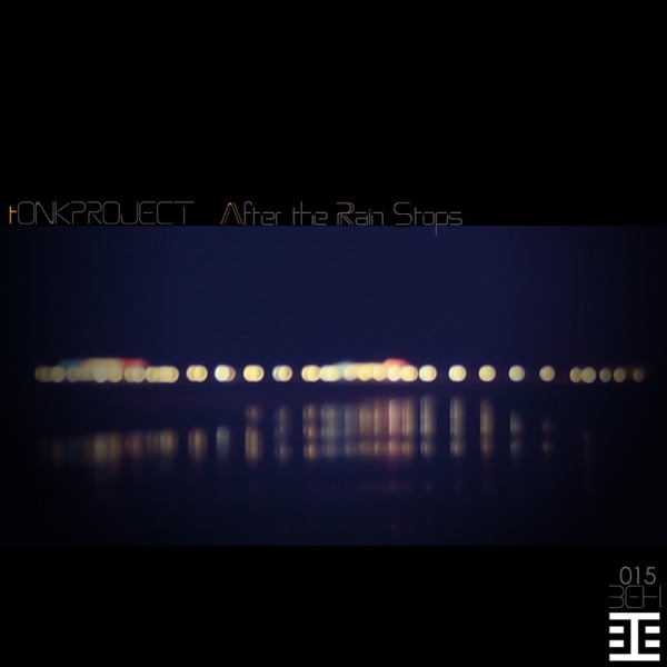 After the Rain Stops - Single