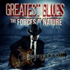 Greatest Blues: The Forces of Nature, 2013