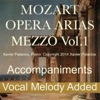 Javier Palacios Mitridate, Re Di Ponto, K. 87:&nbsp;"Va, L'error Mio Palesa" In G Major (Melody Added) Mozart Opera Arias Accompaniments With Melody Added: Mezzo-Soprano, Vol. 1