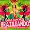 Brazileando - Diego Sanchez lyrics