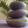 Sound Healing Therapy Vol.1