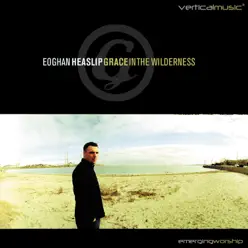 Grace In the Wilderness - Eoghan Heaslip