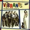 Ginchy - The Vibrants lyrics