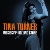 Tina Turner - Mississippi Rolling Stone
