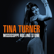 Tina Turner - Mississippi Rolling Stone - Various Artists