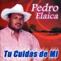 Amigo Mio