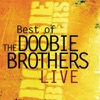 Best of the Doobie Brothers (Live) artwork