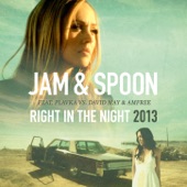 Right in the Night 2013 (Remixes) [feat. Plavka] [Jam & Spoon vs. David May & Amfree] artwork