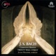 Bach Complete Motets BWV 225 230 BWV 118